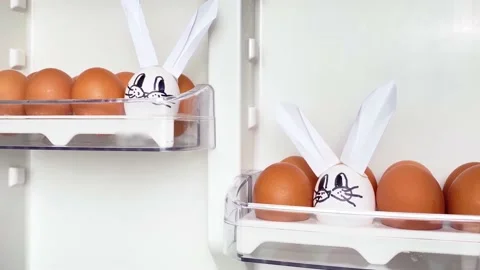 Easter bunny rabbits made from white egg Stock Footage 172492227