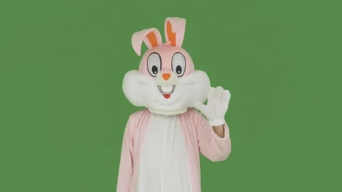 Easter Bunny is sad on chroma key, green screen. Easter rabbit holds shows Video stock 126696908