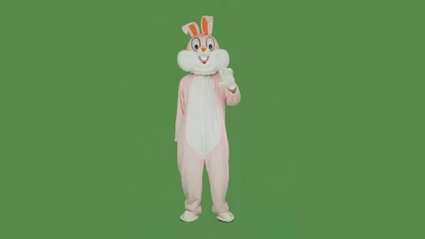 Easter Bunny is sad on chroma key, green screen. Easter rabbit holds shows Stock-Footage 126753313