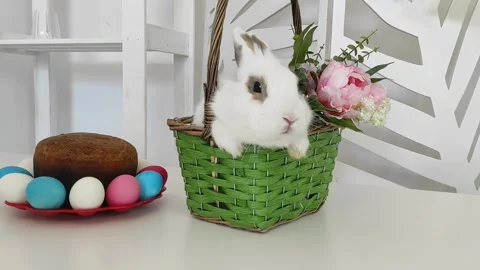 The Easter bunny sits in a basket next to an Easter cake and colorful eggs. Stock Footage 152531100