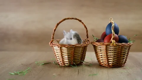 Easter bunny is sitting in a basket next to eggs in basket Stock Footage 78991443