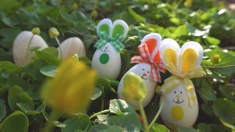 Easter Bunny on a Spring Day 4K Loop features a stuffed bunny looking at an Stock Footage 105741857