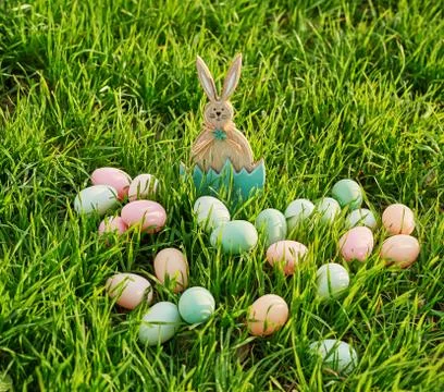 Easter bunny on spring green grass. Cute rabbit. Easter egg hunt with pet bun Stock Photos