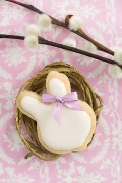 Easter bunny sugar cookie Stock Photos