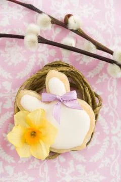 Easter bunny sugar cookie Stock Photos