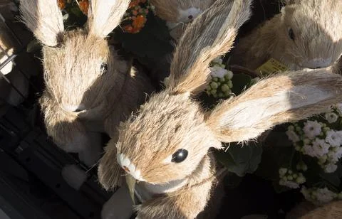 Easter bunny as symbol of easter Foto stock