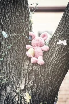 Easter bunny in a tree Stock Photos