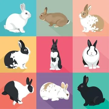 Easter Bunny vector Rabbits set colorful retro style Stock Illustration