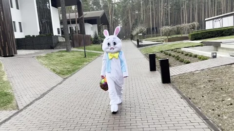Easter-bunny-walks-in-beautiful-place Stock Footage 305504045