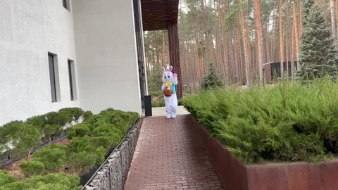 Easter Bunny Walks with Busket Stock Footage 305302202