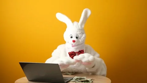Easter Bunny, White Hare is working on a laptop and counts dollars. Stock Footage 241178237