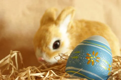 Easter Bunnys Egg 스톡 사진