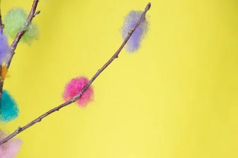 Easter bush Stock Photos