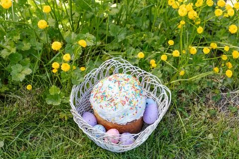 Easter cake and colorful Easter eggs in the wicker basket with yellow Persi.. Stock Photos