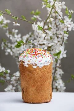 Easter cake on the background of cherry blossoms Stock Photos