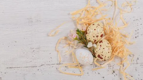 Easter candy chocolate eggs and almond sweets Stock-Fotos
