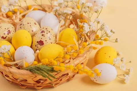 Easter candy chocolate eggs and almond sweets lying in a bird's nest Stock Photos