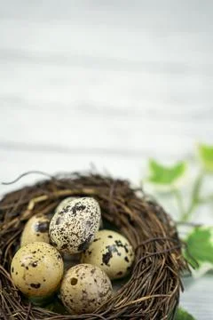 Easter  candy eggs in different colors in nest Easter holiday candy concept. Stock Photos