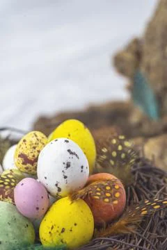 Easter  candy eggs in different colors in nest Easter holiday candy concept. Stock Photos