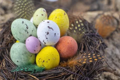 Easter  candy eggs in different colors in nest Easter holiday candy concept. Stock Photos