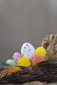 Easter  candy eggs in different colors in nest Easter holiday candy concept. Stock Photos