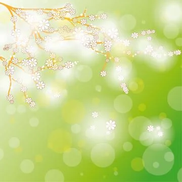 Easter card background cherr tree flowers Stock Illustration