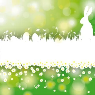 Easter card background white grass rabbit flower centre 스톡 일러스트