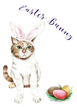 Easter card with cat and eggs watercolor handmade Stock Illustration
