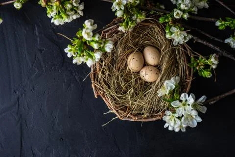 Easter card concept Stock Photos