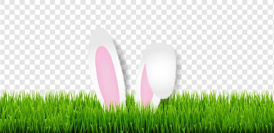 Easter Card With Easter Grass And Bunny Ears Transparent Background Stock Illustration