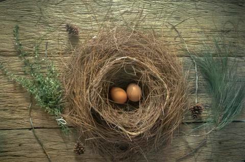 Easter card theme Stock Photos