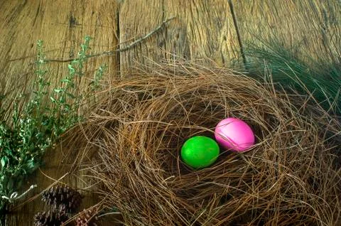 Easter card theme Stock Photos