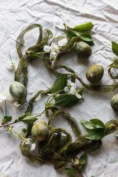 Easter celebration flat lay. Stylish green easter eggs, flowers, cherry blo.. 스톡 사진