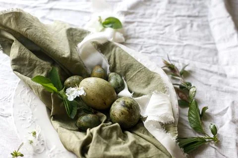 Easter celebration. Stylish easter green eggs, flowers and cherry blossoms .. 库存照片