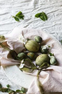 Easter celebration. Stylish easter green eggs, flowers and cherry blossoms .. Stockfoto's