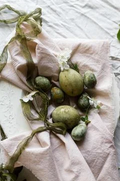 Easter celebration. Stylish green easter eggs, flowers, cherry blossoms  on.. Foto stock
