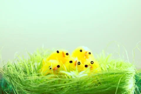 Easter chick and painted easter eggs Stock Photos