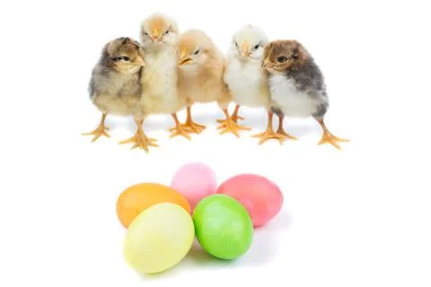 Easter chick and painted eggs Stock Photos