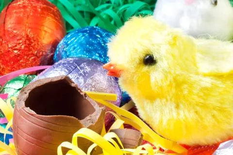 Easter chick eats egg Stock Photos