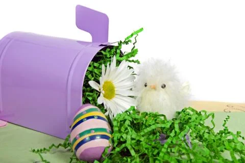 Easter chick Stock Photos