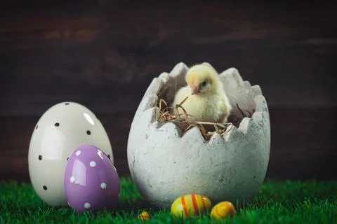 Easter chicken, eggs and decorations Stock Photos