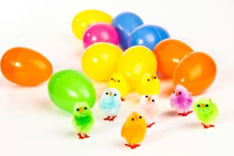 Easter chicken 写真素材