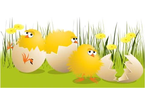 Easter chickens Stock Illustration