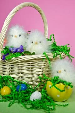 Easter Chicks in basket Stock Photos