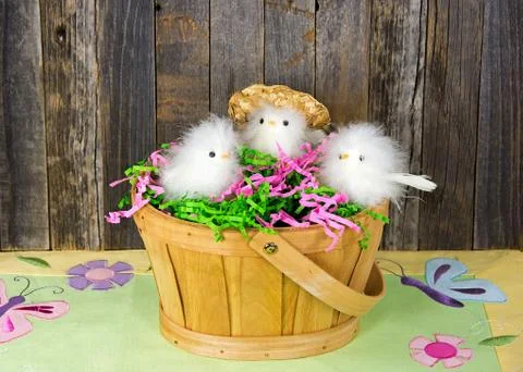 Easter chicks in basket Stock Photos