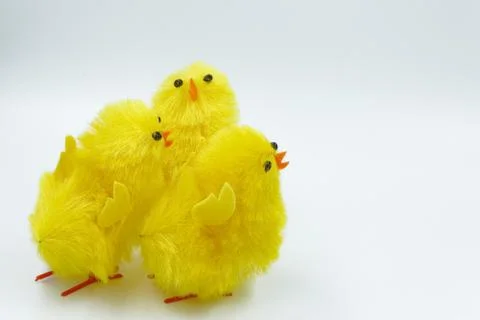 Easter chicks isolated on a white background Stock Photos