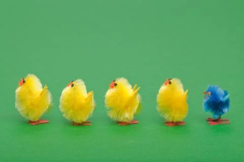 Easter chicks in a line Stock Photos