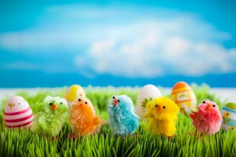 Easter chicks Stock Photos