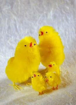 Easter Chicks; Toy Chicks Foto stock