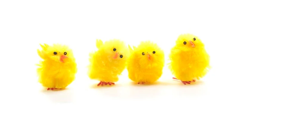 Easter chicks on white Stock Photos